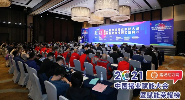 正康生?Plus榮獲“2021年度匠心飼料添加劑”！